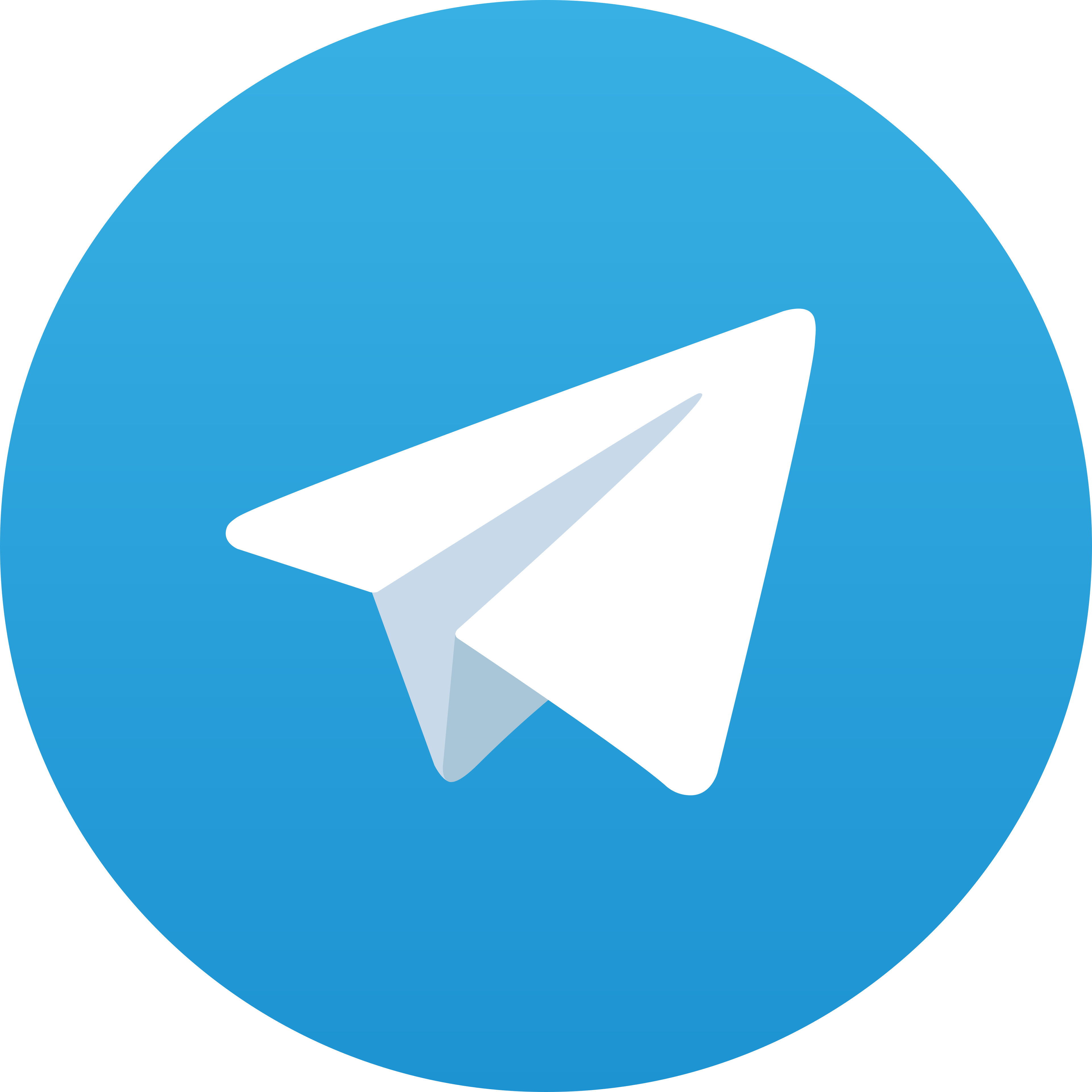 Telegram DS303